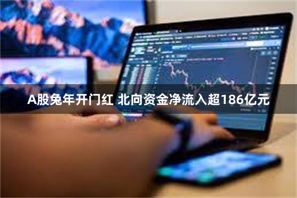 A股兔年开门红 北向资金净流入超186亿元