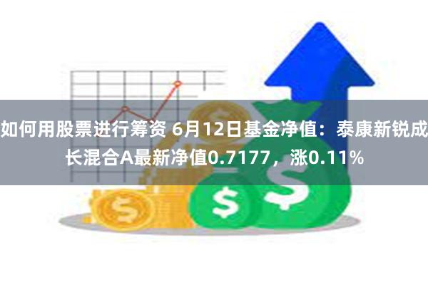 如何用股票进行筹资 6月12日基金净值：泰康新锐成长混合A最新净值0.7177，涨0.11%