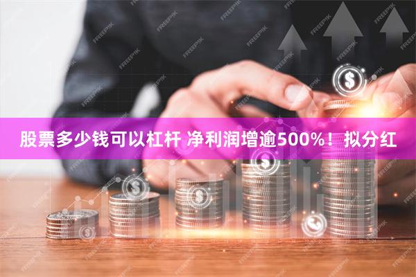 股票多少钱可以杠杆 净利润增逾500%！拟分红