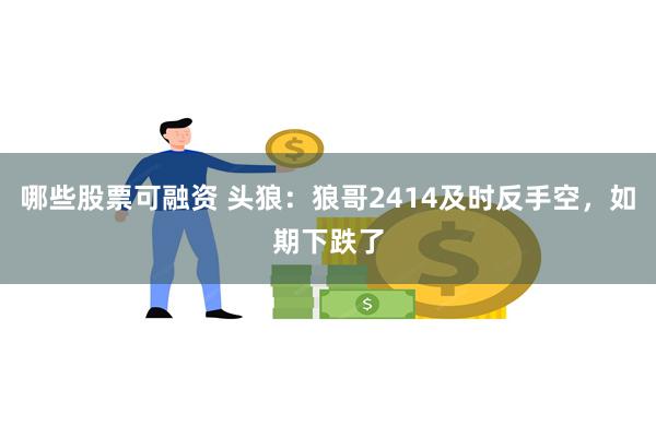 哪些股票可融资 头狼：狼哥2414及时反手空，如期下跌了