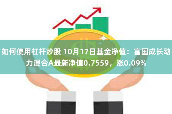 如何使用杠杆炒股 10月17日基金净值：富国成长动力混合A最新净值0.7559，涨0.09%