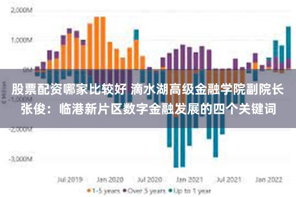 股票配资哪家比较好 滴水湖高级金融学院副院长张俊：临港新片区数字金融发展的四个关键词