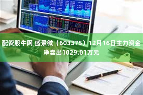 配资股牛网 盛景微（603375）12月16日主力资金净卖出1029.01万元