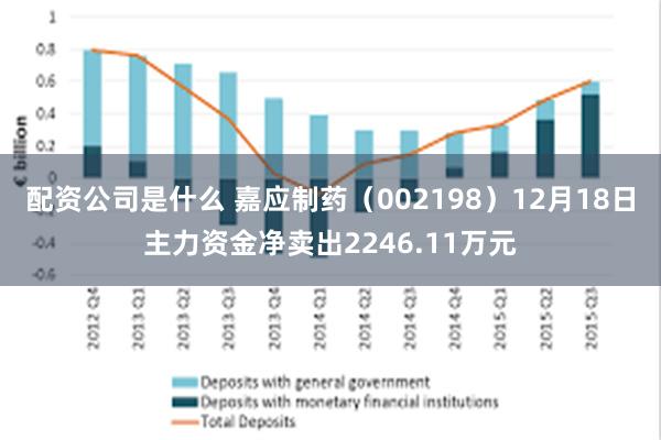 配资公司是什么 嘉应制药（002198）12月18日主力资金净卖出2246.11万元