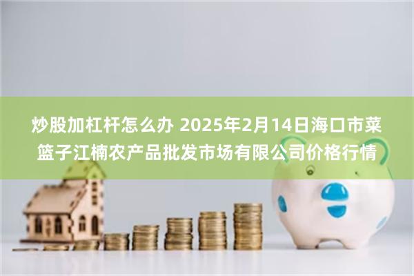 炒股加杠杆怎么办 2025年2月14日海口市菜篮子江楠农产品批发市场有限公司价格行情