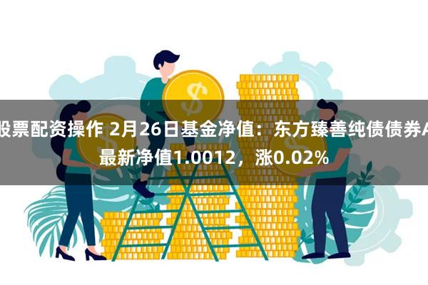 股票配资操作 2月26日基金净值：东方臻善纯债债券A最新净值1.0012，涨0.02%